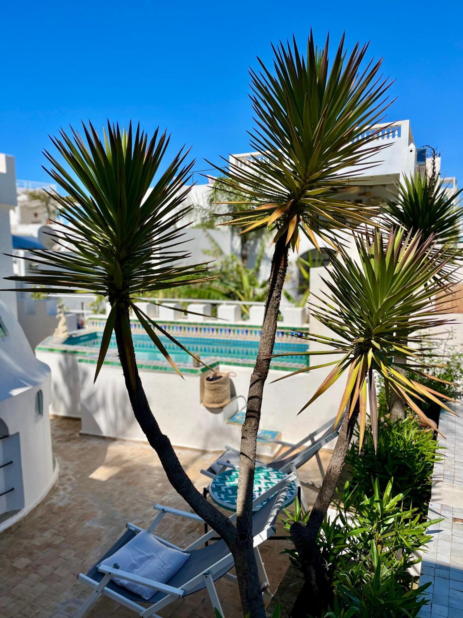 Riad Oasis D'Асила Экстерьер фото